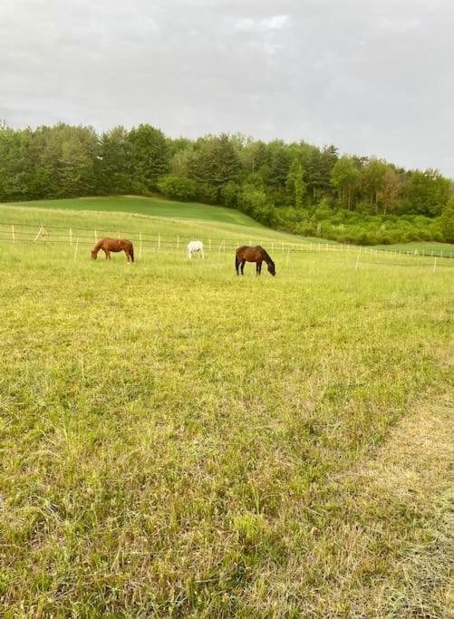 Appartamento In Cascina -La Cascinetta Di Ali- Roatto エクステリア 写真
