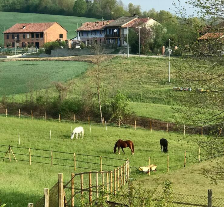 Appartamento In Cascina -La Cascinetta Di Ali- Roatto エクステリア 写真
