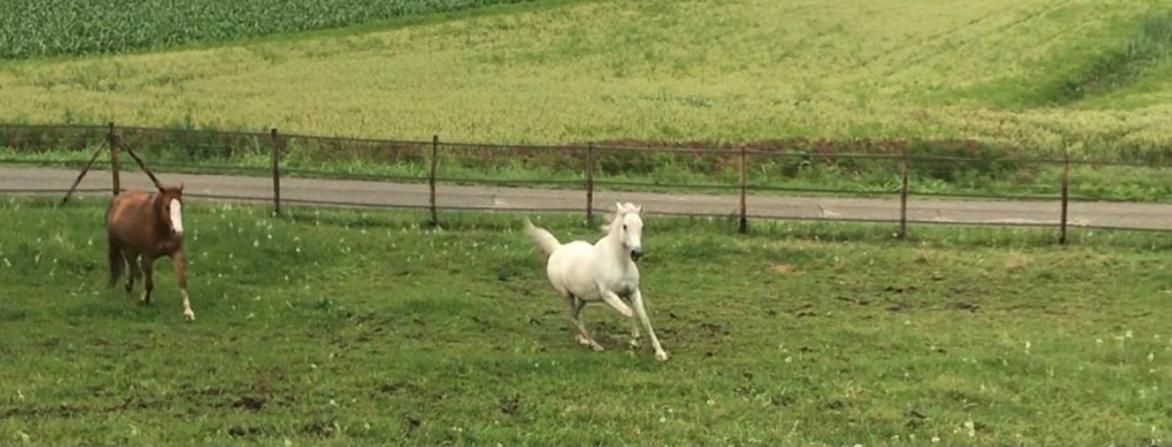Appartamento In Cascina -La Cascinetta Di Ali- Roatto エクステリア 写真