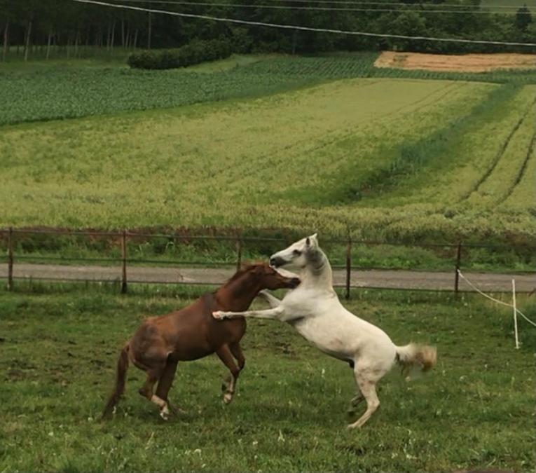 Appartamento In Cascina -La Cascinetta Di Ali- Roatto エクステリア 写真